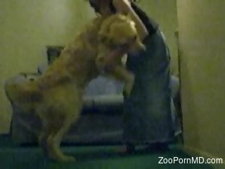 Furry dog ass fucks naked woman on live cam