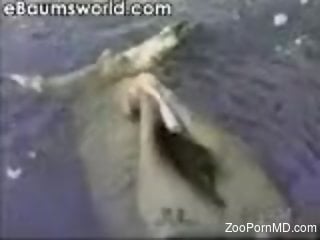 Underwater sexual needs for a horny amateur zoo lover