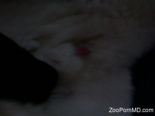 Close-up teasing video featuring a very sexy animal