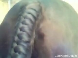 Sexy guy puts his meaty cock to great use right here