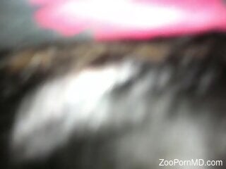 Dude using his hairy cock to fuck a dirty beast