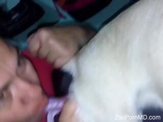 Seductive Latina gal worships a dog's juicy dick