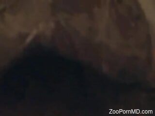 Horny male wants this turtle to lick his erect penis