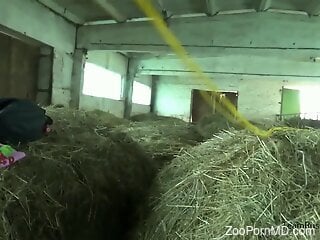 Blonde wife endures horse's huge penis in rough zoo kinks