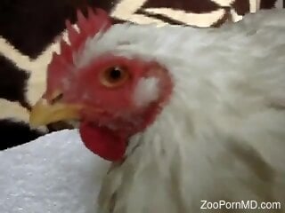 Horny dude fucks a hen and comes on her whole body