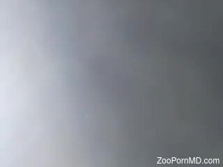Insolent man lets small dog lick his dick in very sloppy manners