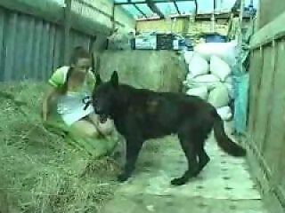XXX bestiality zoo porn