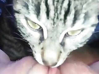 ZooY