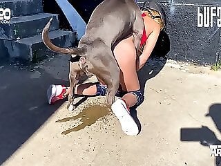 Horse Porn Tube