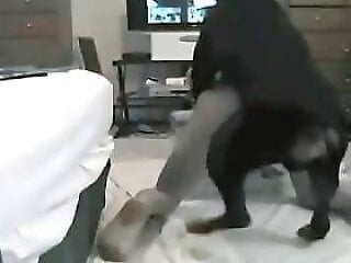 ZOO Porn and bestiality tube