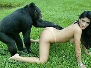 Zoo-Porn