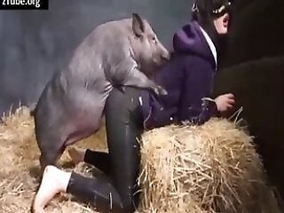 Free bestiality and zoophilia porn