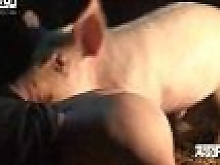 Animal porn videos and ZOO PORN