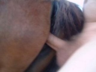 Zoo porn and zoo sex video